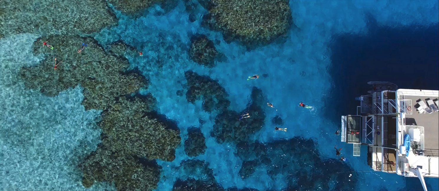 Snorkeling sur la Grande Barrière de corail, vue aérienne