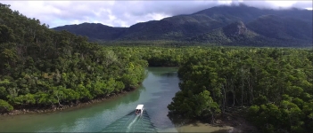 Excursion en forêt tropicale avec Coral Expeditions, Queensland