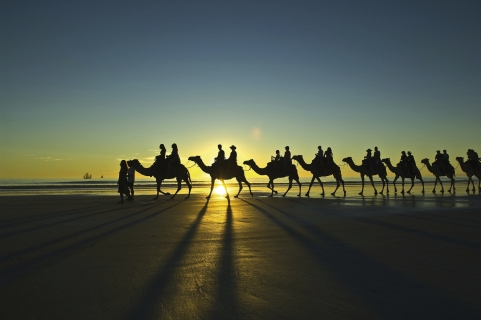 Balade à dos de chameau sur Cable Beach à Broome