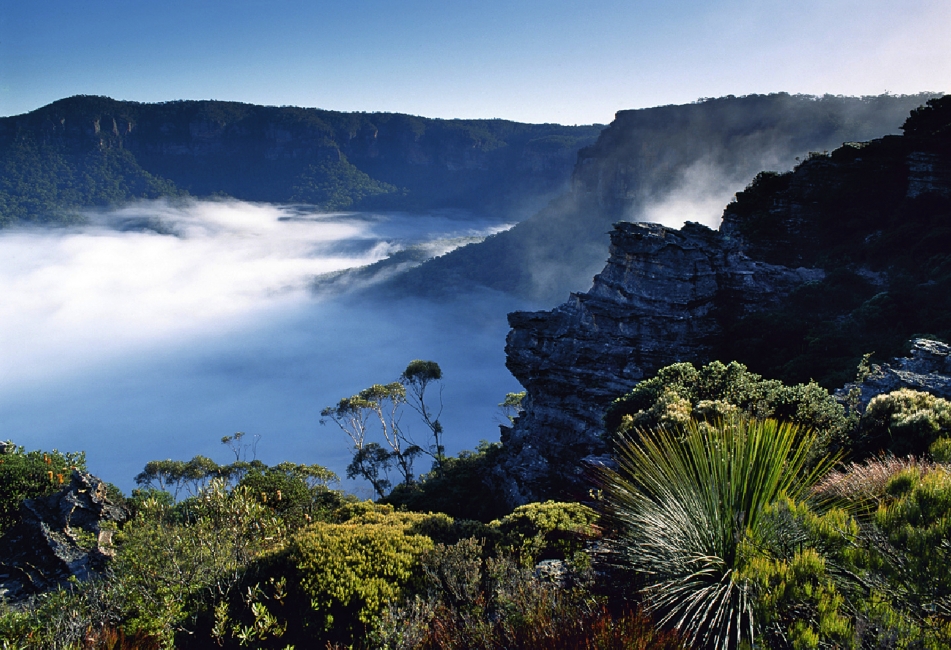 Vallée dans la brume, Blue Mountains