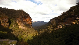 Gorge boisée dans les Blue Mountains