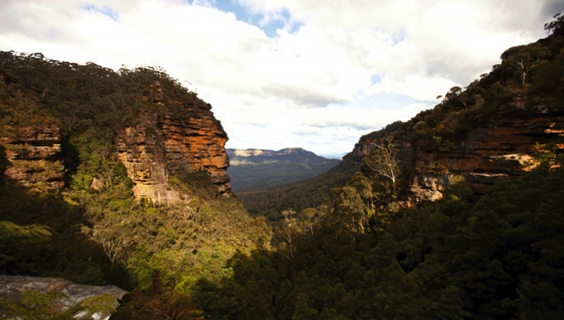 Gorge boisée dans les Blue Mountains
