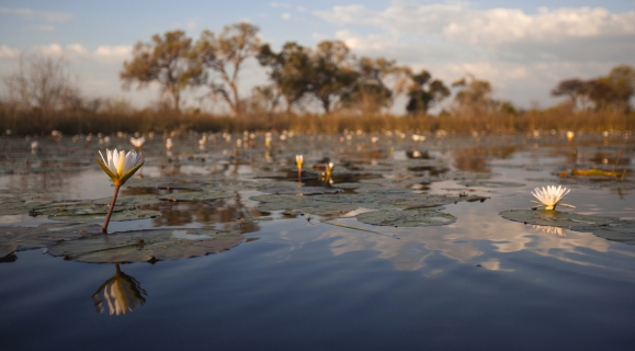 Selinda Adventure Trail – Maun