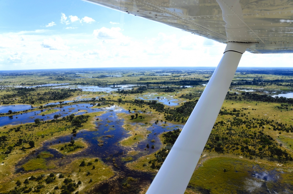 Le delta de l'Okavango vu d'avion