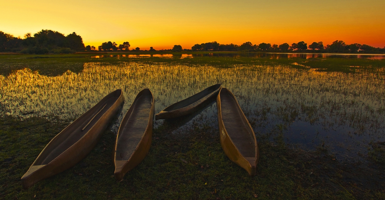 Mokoros au crépuscule dans le delta de l'Okavango