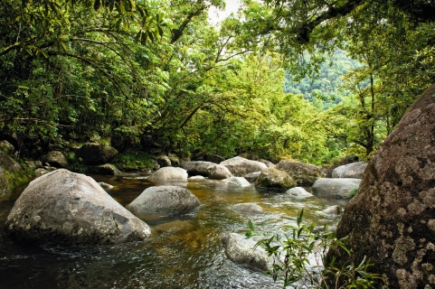 Ruisseau dans le Queensland