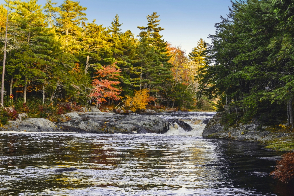 Mill Falls sur la rivière Jersey, parc national de Kejimkujik, Nouvelle-Écosse