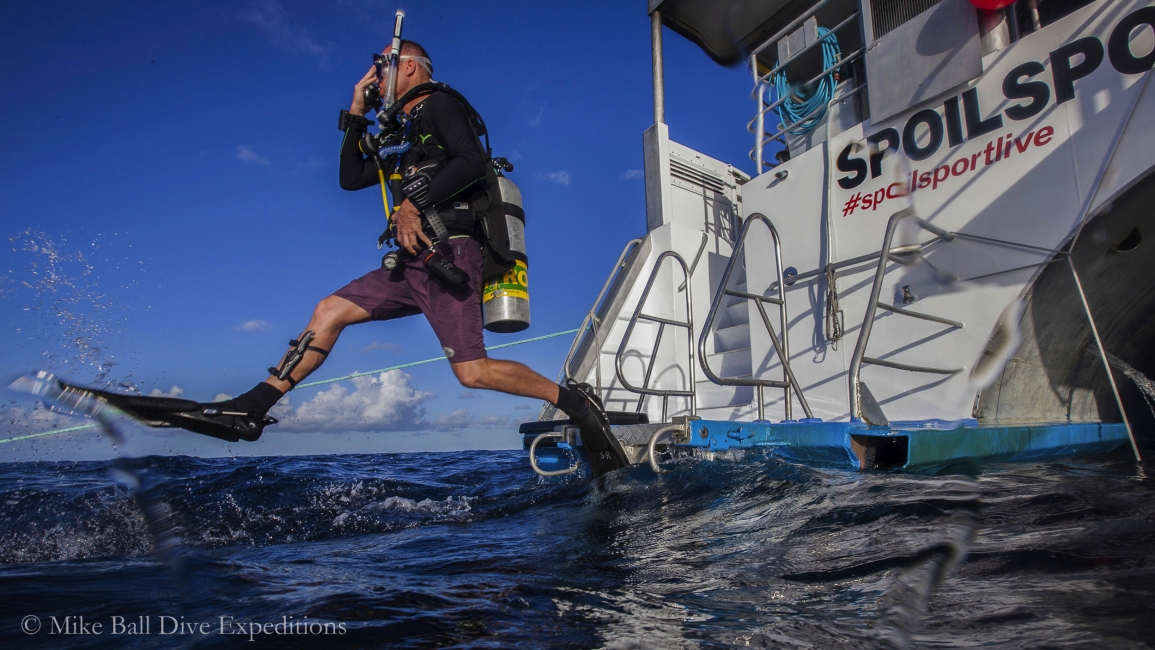 Plongeur qui saute à l'eau, Mike Ball Dive Expeditions