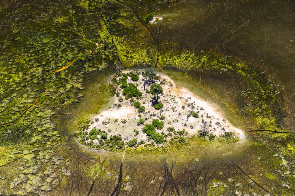 Île en forme de cœur dans le delta de l'Okavango