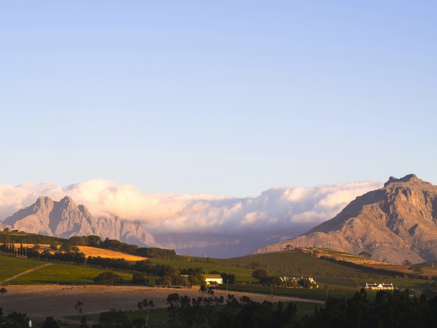 Paysage près de Stellenbosch dans les Winelands