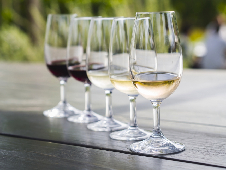 Dégustation de vins dans les Winelands