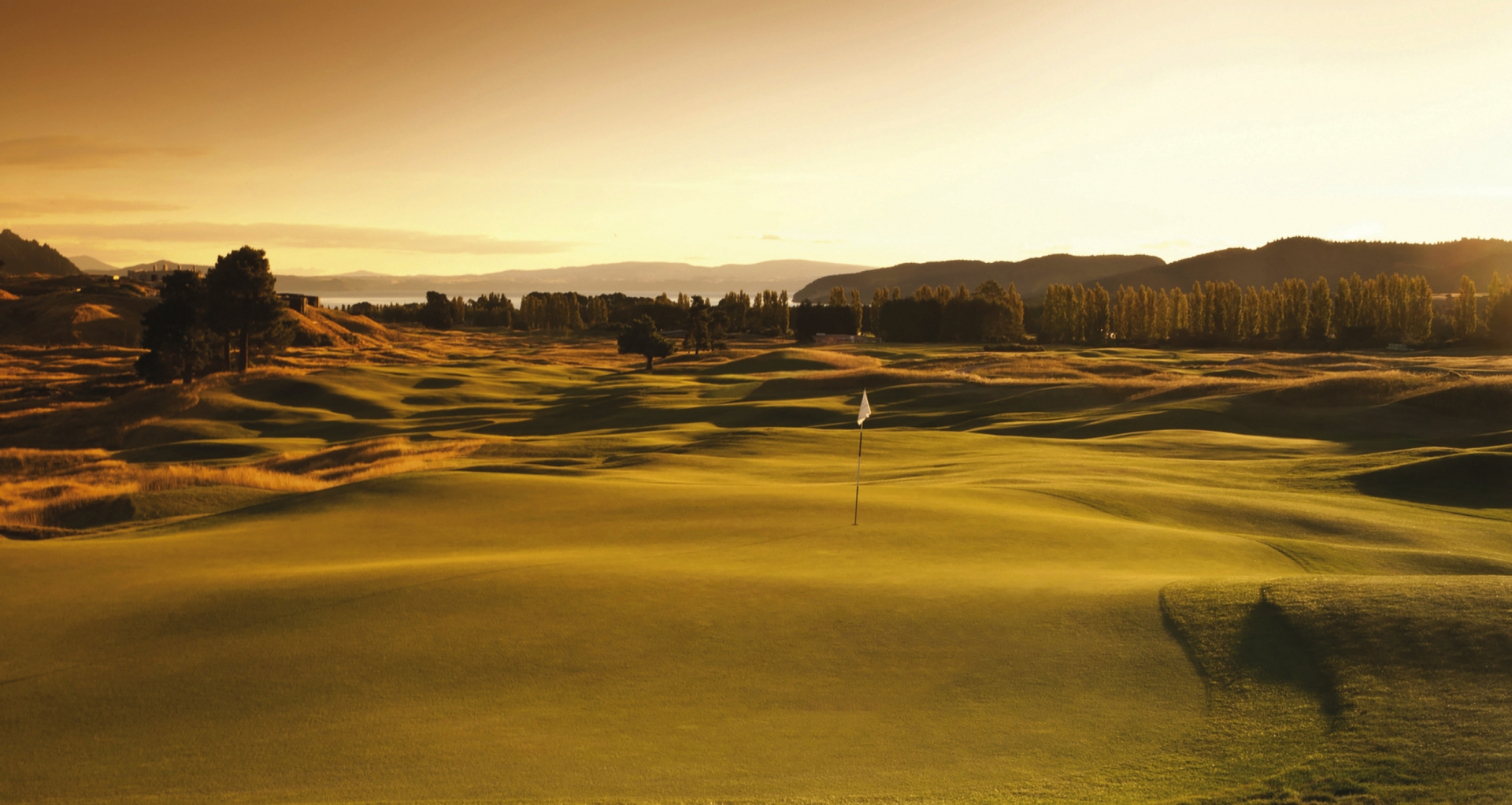 Golf Safari – Auckland