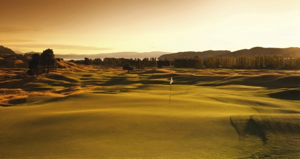 Golf Safari – Auckland