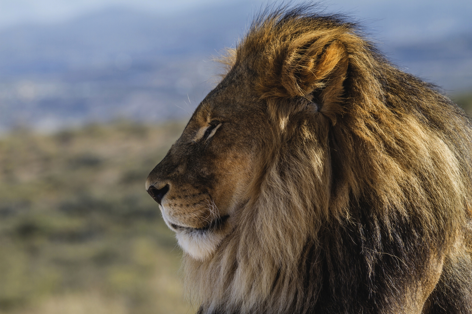 Wonders of South Africa – Le Cap