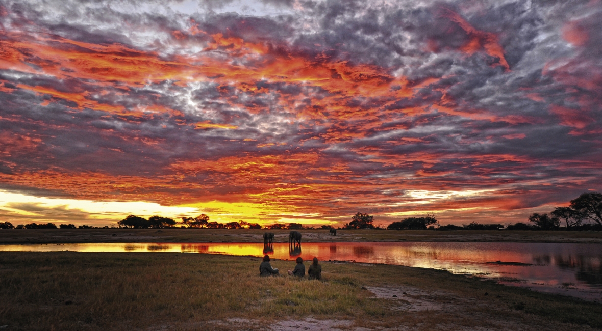 Visiteurs au point d'eau avec des éléphants, African Bush Camps