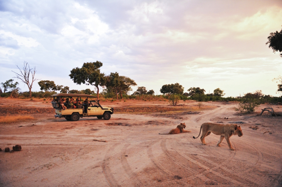 Zimbabwe Highlight Safari – Victoria Falls