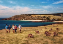 Outback & Kangaroo Island – Adelaide