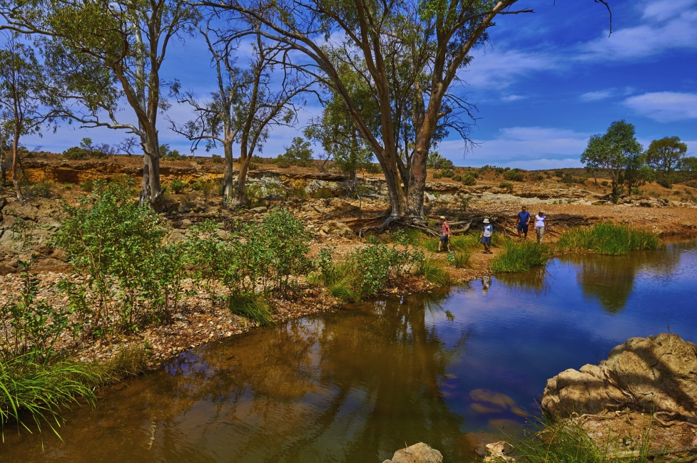 Point d'eau de Kanyaka dans les Flinders Ranges