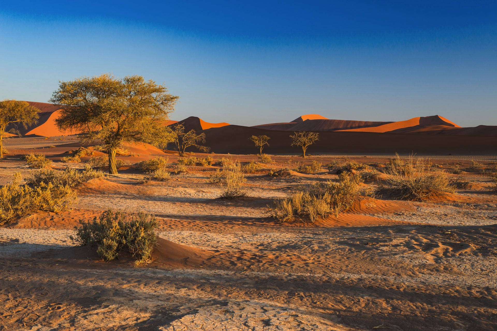 Namibia Classique 13 jours – Ville de Windhoek