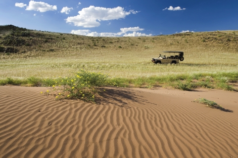 Véhicule dans le désert du Namib