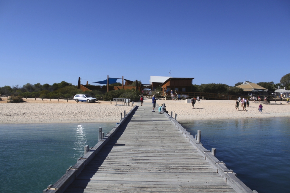 Jetée de Monkey Mia, Shark Bay