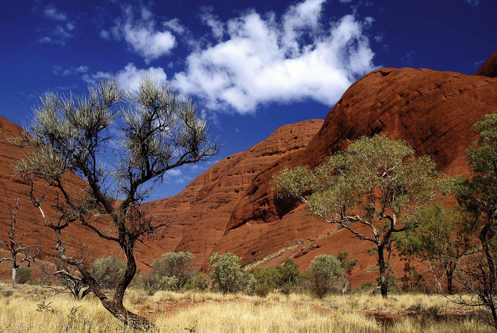 Uluru (Ayers Rock) de près