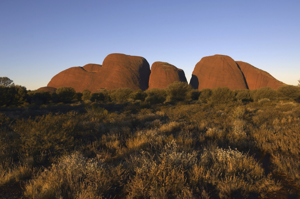 Kata Tjuta (les monts Olgas)