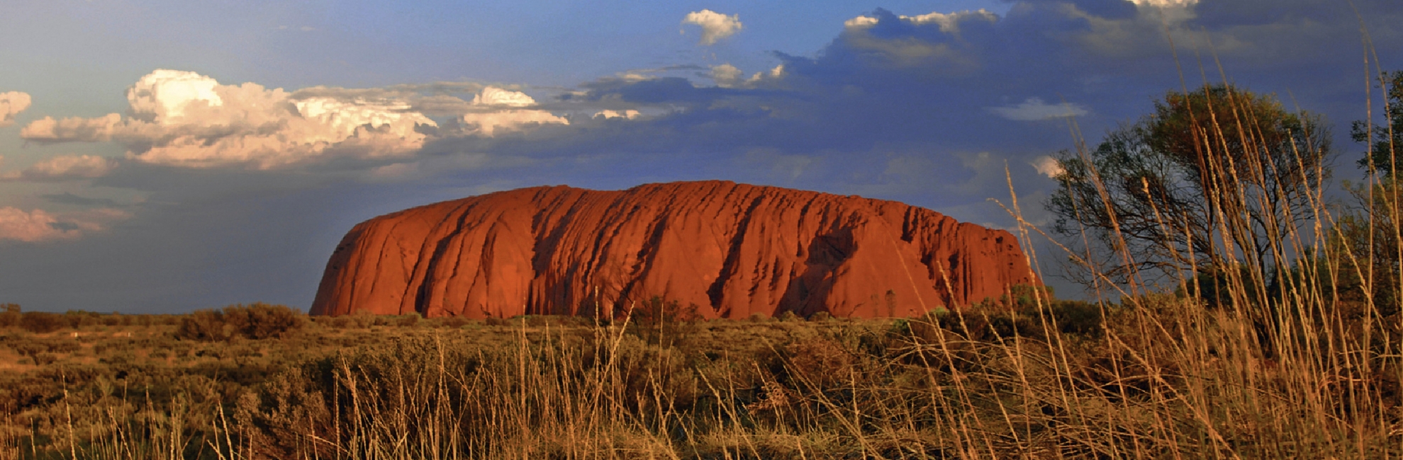 Uluru (Ayers Rock) aux teintes orangées