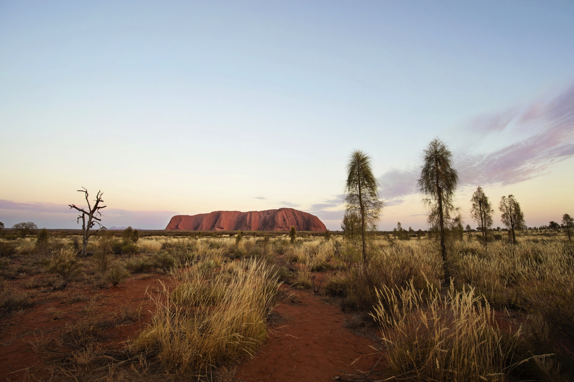 Red Centre Wanderer – Alice Springs