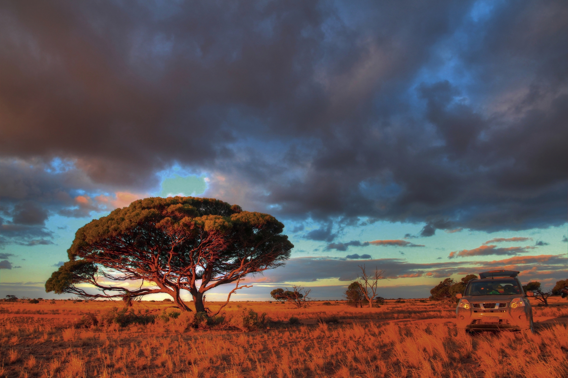 Plaine de Nullarbor
