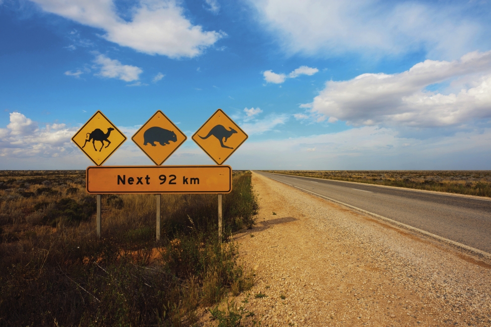 Panneau dans la plaine de Nullarbor
