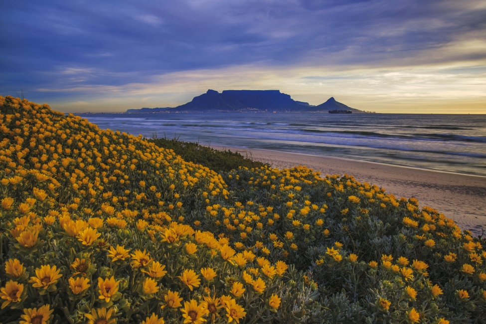 Vue de Bloubergstrand sur la montagne de la Table