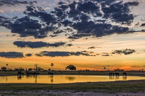 Faune du parc national de Hwange