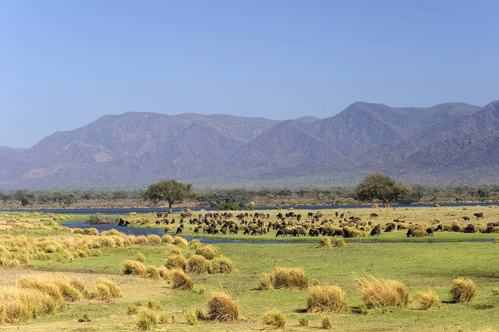 Ruckomechi Camp, parc national de Mana Pools