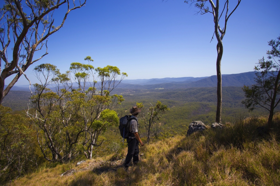 Randonneur sur le Scenic Rim Trail