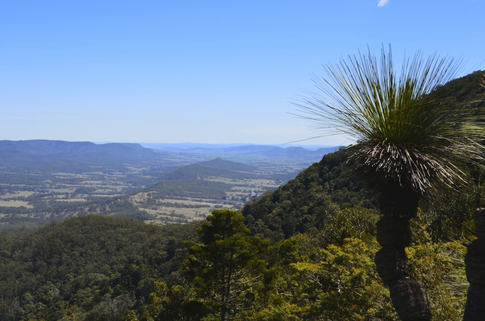 Panorama sur le Scenic Rim Trail