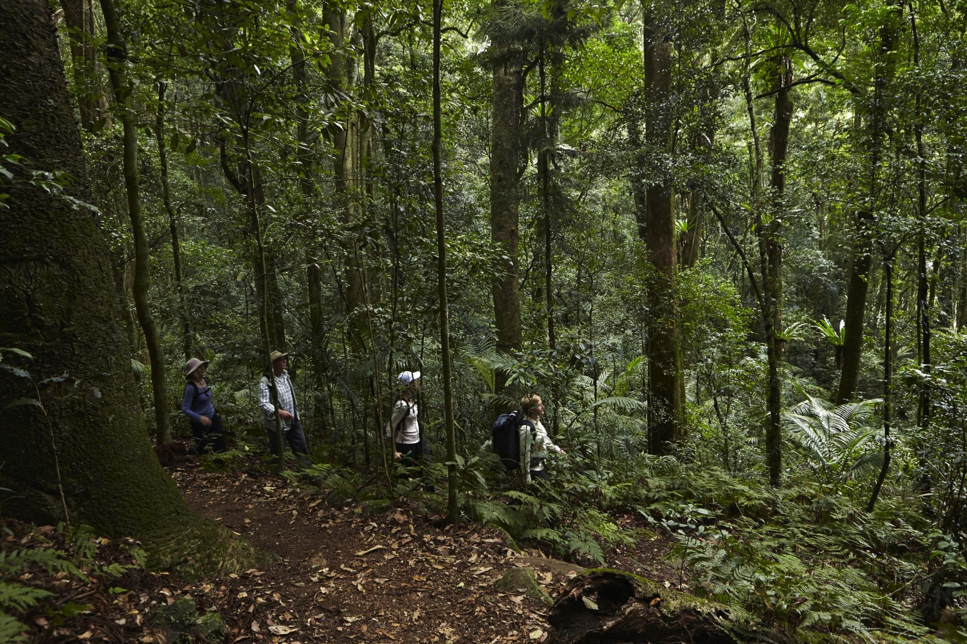 Scenic Rim Trail – Brisbane