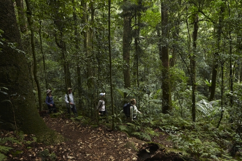 Scenic Rim Trail – Brisbane