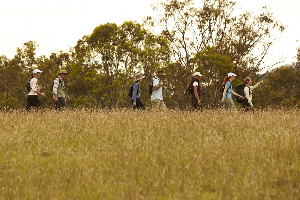 Groupe de randonneurs sur le Scenic Rim Trail