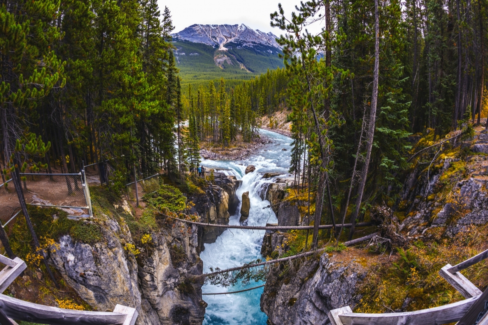 Petite île au milieu de la rivière, parc national de Jasper