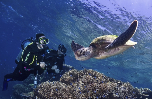 Croisière de plongée Pro Dive «Outer Reef» – Cairns