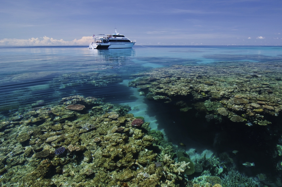 Bateau de Pro Dive devant le récif, Grande Barrière de corail