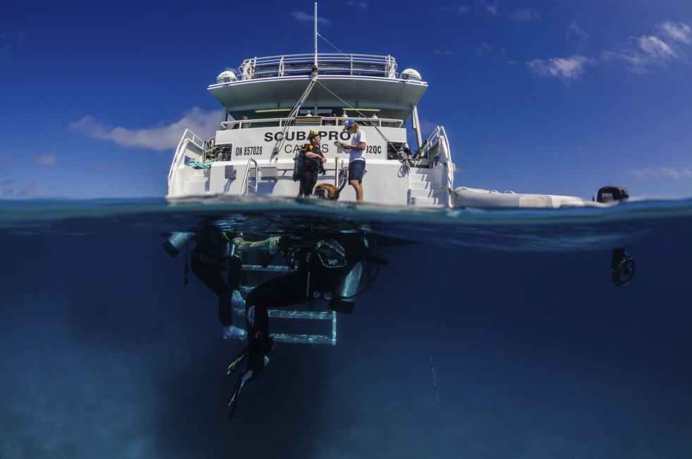 Bateau de plongée de Pro Dive sur la Grande Barrière de corail