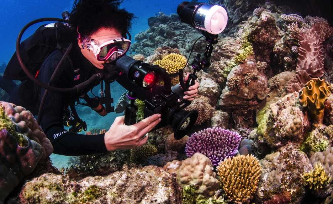 Plongeur photographiant un corail, Grande Barrière de corail
