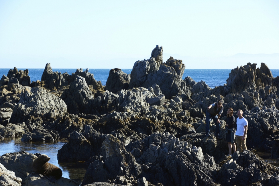 Red Rocks près de Wellington