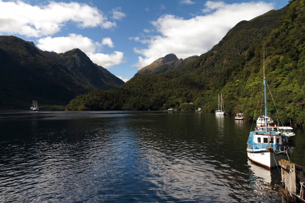 Doubtful Sound sur l'île du Sud