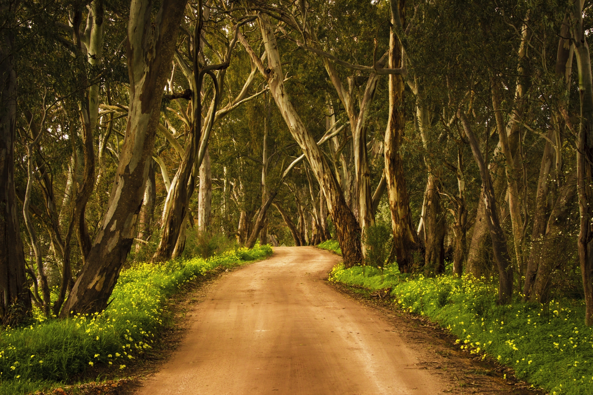 Clare Valley en Australie-Méridionale
