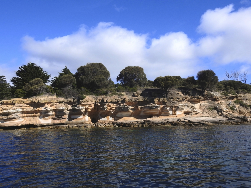 Maria Island en Tasmanie avec Coral Expeditions