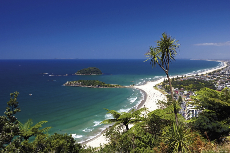 Kakapo – Auckland