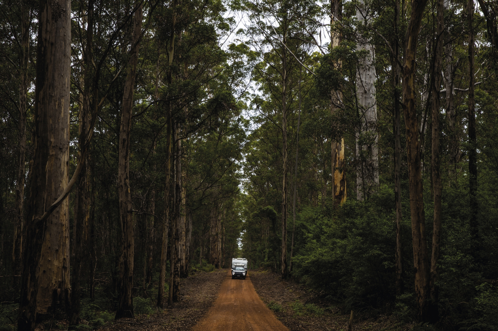 Pemberton en Australie-Occidentale